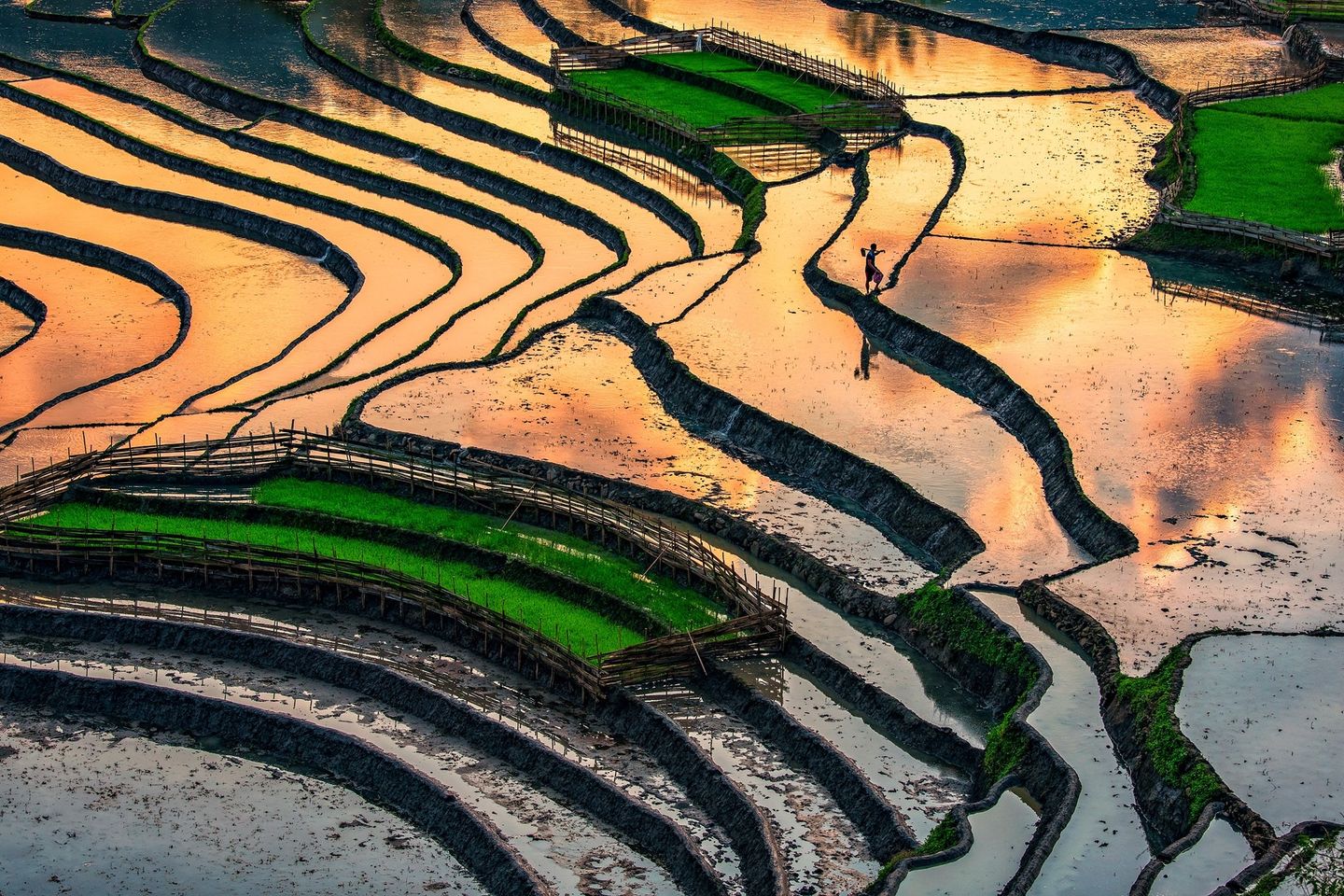 hoang-su-phi-terraced-rice-fields