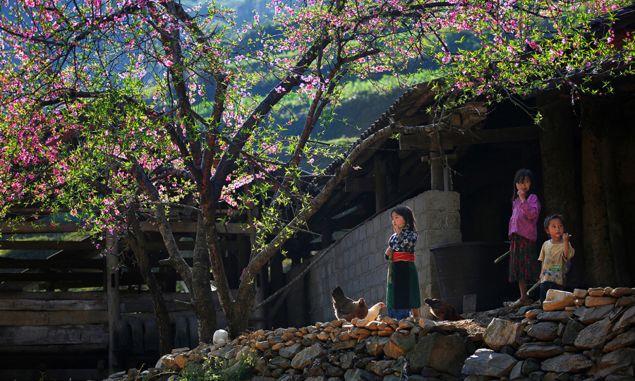 dong-van-karst-plateau-2