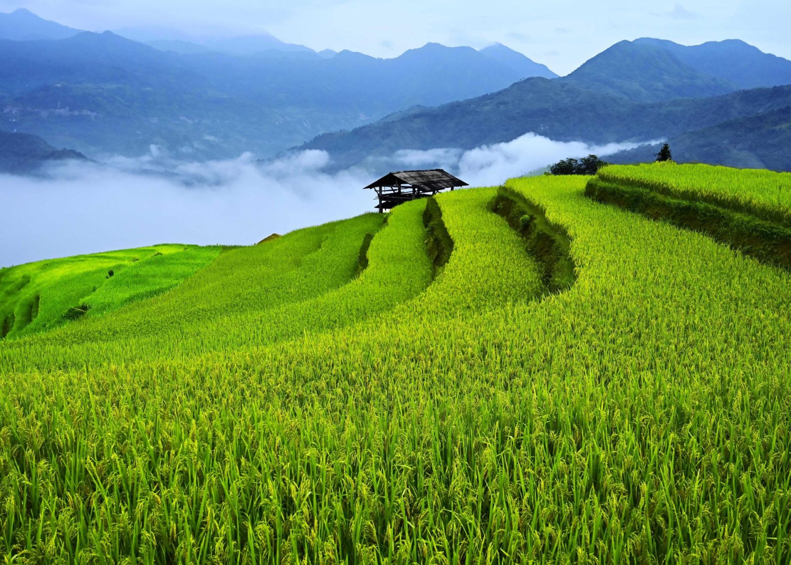 ha-giang-loop-motorbike-nam-khoa-village