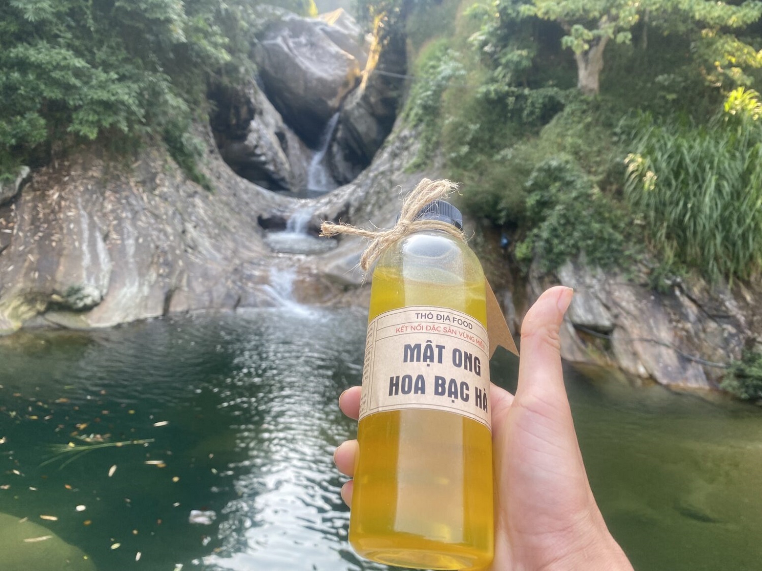 what-to-buy-in-ha-giang-mint-honey