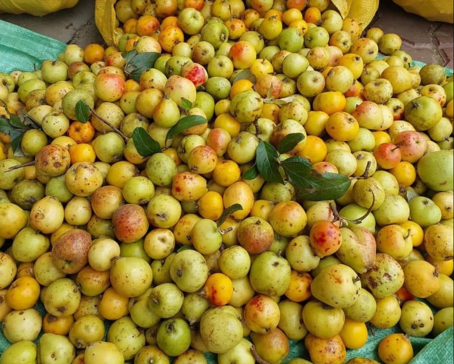 what-to-eat-in-ha-giang